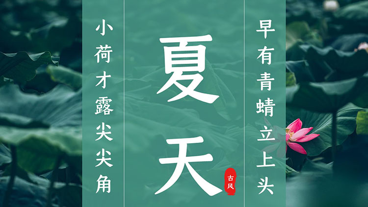 绿色清新荷叶背景夏天主题的PPT模板免费下载