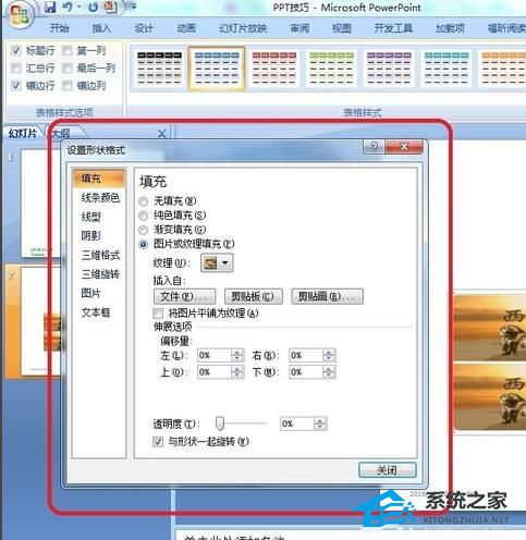 PPT调整表格中插入的图片格式的详细步骤