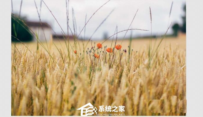PPT图片镂空效果怎么做？PPT制作图片镂空效果的方法
