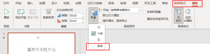 音频格式中的音量选项