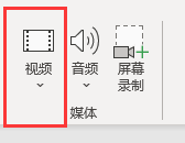 视频选项