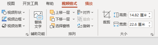 视频格式选项