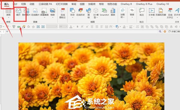 PPT如何制作X光扫描动画效果？PPT制作X光扫描动画效果的方法